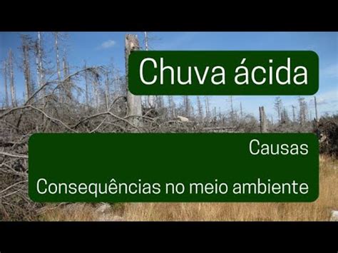 Chuva Ácida Causas e Consequências para o Meio Ambiente YouTube