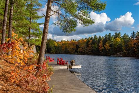 390 Muskoka Cottage Lake Boathouse Stock Photos Pictures And Royalty