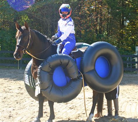 equine halloween costume ideas 4