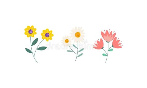 Set of Spring Flowers Collection Stock Illustration - Illustration of season, collection: 271338615