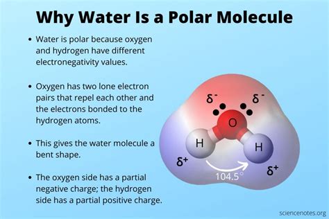 Why Is Water a Polar Molecule?