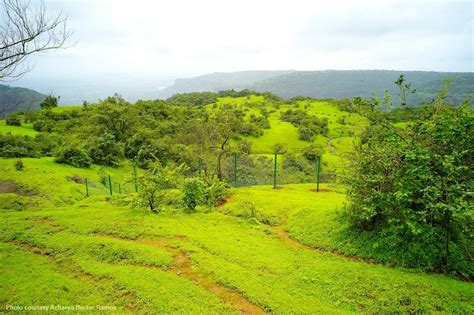 Lush Green Hills Lush Green Farmland Country Roads