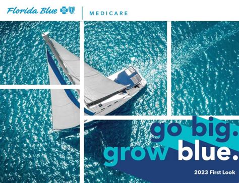 Florida Blue 2023 – Medicare Advantage Specialists