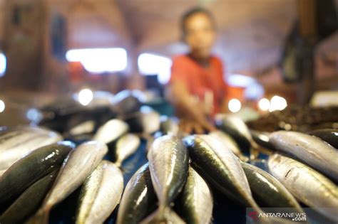 Harga Ikan Laut Di Gorontalo Naik Sesudah Lebaran Antara News