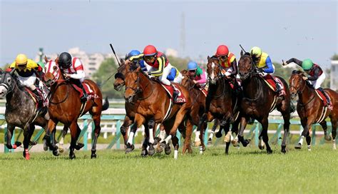 読売マイラーズカップ2024予想】本命馬候補5選と穴馬候補5選・コース解説・血統馬5選・過去10年データー分と傾向3連単 ｜ 3連単6点勝負