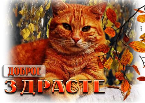 Картинки Привет | ТОП Картинки