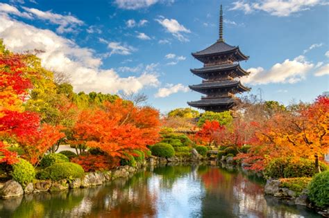 Best Places To Visit In Japan