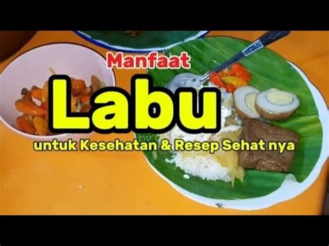 Manfaat Labu Siam Untuk Kesehatan Dan Resep Olahannya Youtube