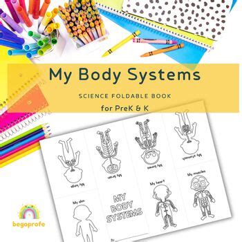 Human Body Systems Project Foldable Mini Book By Begoprofe Tpt