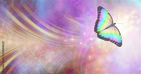 Transformation And Spiritual Release Concept Vibrant Butterfly