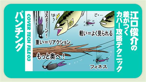 「パンチング」狙うなら壁際岸際を攻めろ！【江口俊介の差がつくバス釣りカバーテク】│ルアマガプラス