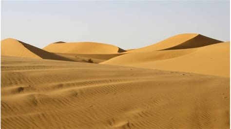 El Desierto Del Sahara Se Inundó Por Primera Vez En 50 Años