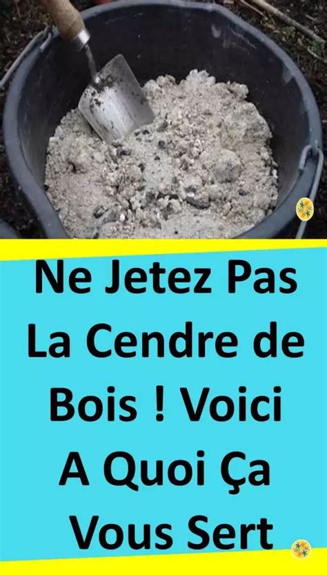 La Cendre De Bois Utilisations Importantes Connaitre Cendres