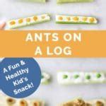 Ants on a Log - Healthy Little Foodies