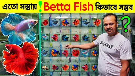 Aquarium Price In BangladeshAquarium Fish Price In Bangladesh