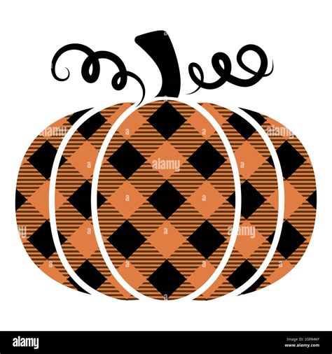 Lumberjack Buffalo Plaid Pumpkin Hand Drawn Vector Illustration