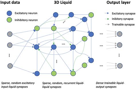 Liquid Neural Network