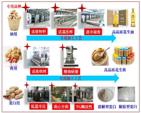 重要科技成果中国农业科学院农产品加工所