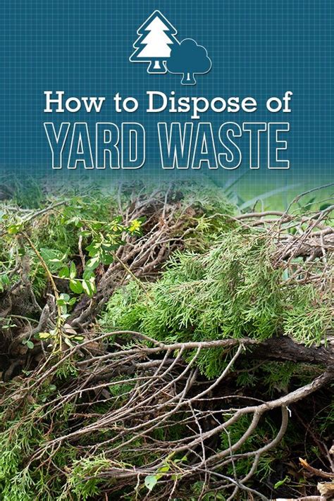 How To Dispose Of Yard Waste Budget Dumpster Yard Waste Yard Waste