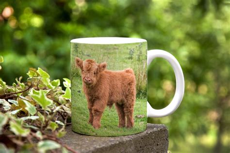 Baby Highland Cow Earthenware Ceramic Mug