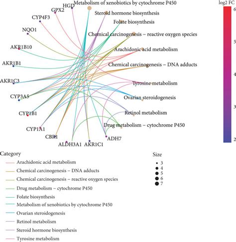 The Kegg Pathways A B And Gene Ontology Go Enrichment Terms C D Download Scientific