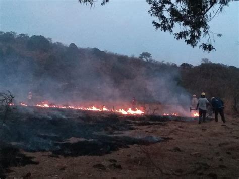 Quemas agrícolas y vandalismo principales causas de incendios