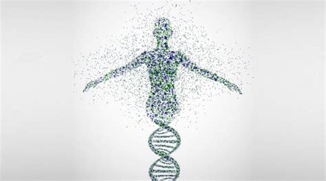 Macromolecules & Microwave Radiation: Effects On Human Body DNA Fragmentation & Food - Activist Post