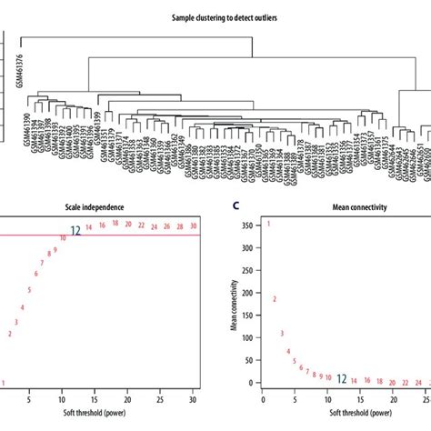 Determination Of Soft Threshold B For Wgcna Analysis A This