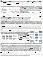 Final Exam Sheet Mcb Pdf Module Eukaryotic Cells Contain A Nucleus