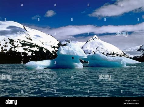 Icebergs from Portage Glacier,Alaska Stock Photo - Alamy