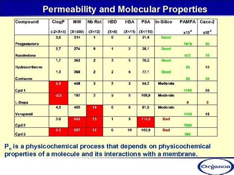 Permeability Transporting Drugs Through Lipid Membranes Paula Garcia