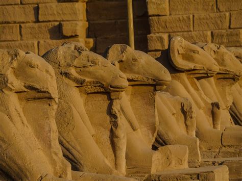 Day Trip To Luxor Kom Ombo And Edfu From Safaga Egypt Tour Magic