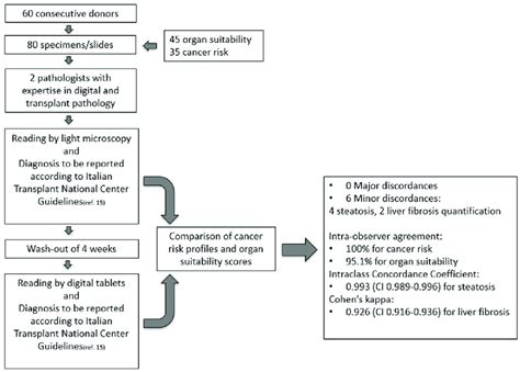 Schematic Workflow Of The Validation Study Download Scientific Diagram