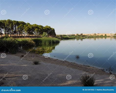 Sidi Mohamed Ben Ali Lake Stock Photo Image Of Reservoir