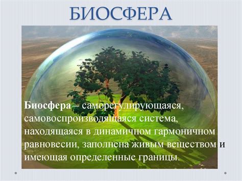 Биосфера - презентация онлайн