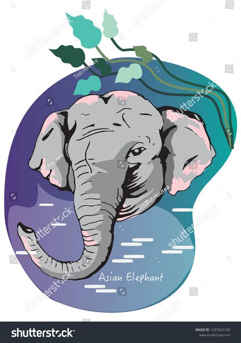 Asian Elephant Endangered Animals Vector Illustration Stock Vector ...