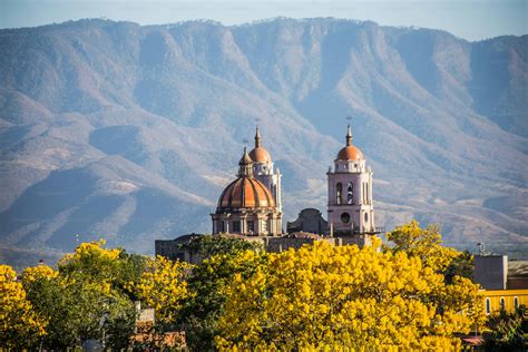 Vista Aérea De Los árboles De Primavera En La Ciudad De Autlán De