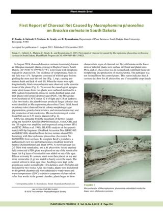 First Report of Charcoal Rot Caused by Macrophomina phaseolina on Brassica carinata in South ...