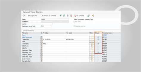 How To Use Sap Se16n Tables Hicron