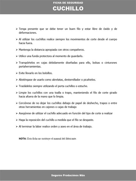 Recomendaciones De Seguridad Pdf