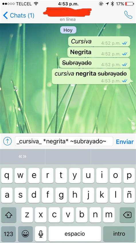 Como escribir en negrita cursiva y tachado en WhatsApp Tecnología y