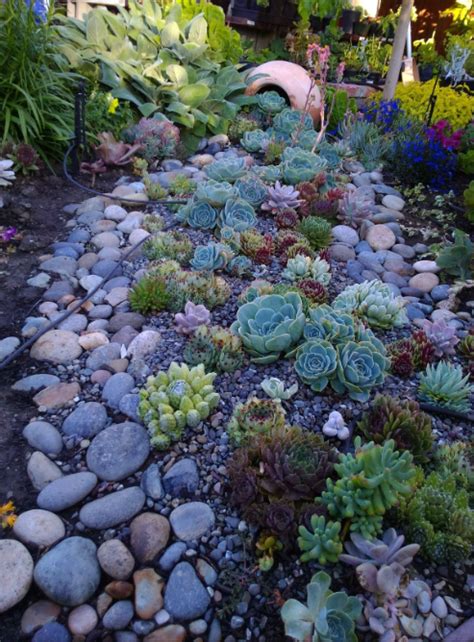 75 Dry Creek Bed Landscaping Ideas To Give Your Yard A New Life Home