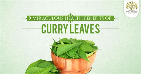 Health Benefits Of Curry Leaves Ayurveda Benefits Curry Leaves