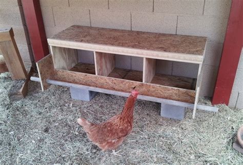 29 Chicken Nesting Boxes Plans You Can DIY This Weekend