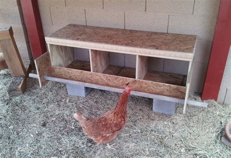 29 Chicken Nesting Boxes Plans You Can DIY This Weekend