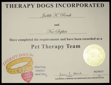 The Puli As A Therapy Dog Puli Club Of America