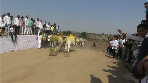 बिरदवडी घाटाचा राजा राजुशेठ वसंतराव जवळेकर ११२३ Hindkesari Manya