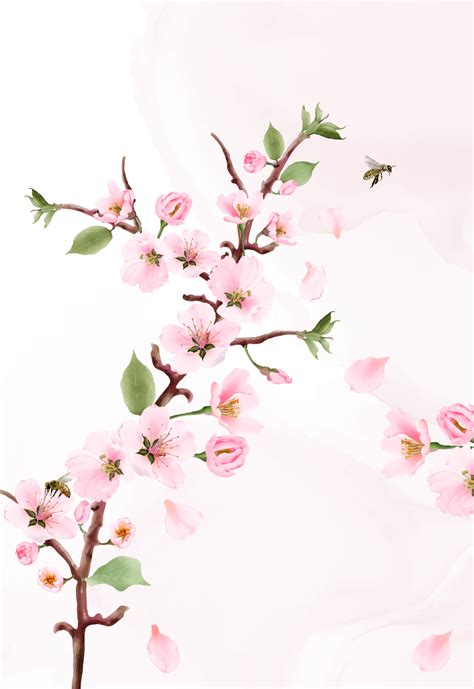 Blooming Sakura Wedding Invitations Card Png