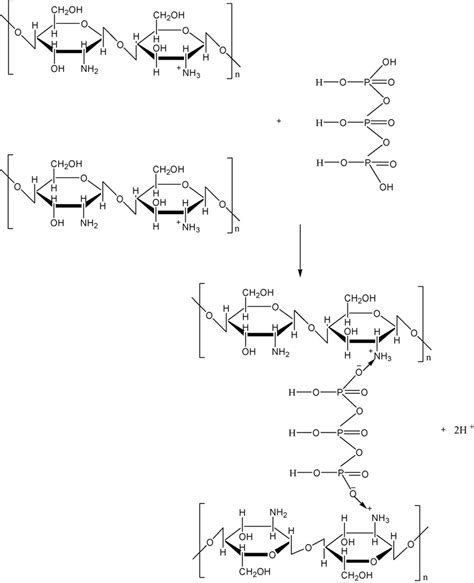 Schematic Representation Of Cross Linking Of Chitosan With Sodium