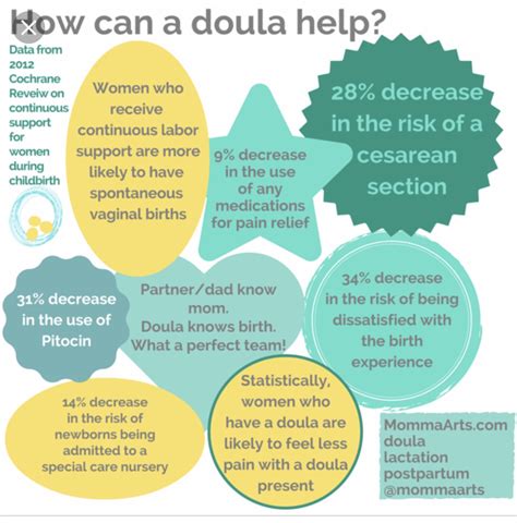 Doula Vs Midwife Whats The Difference Holistic Medicine